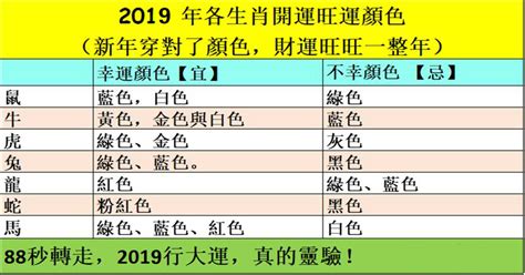 生肖適合的顏色|如何運用適合自己的開運顏色